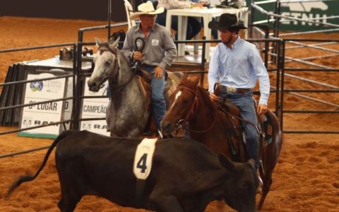 ABQM divulga campeões do 10º Prêmio All Around e Super Horse do Nacional 2022