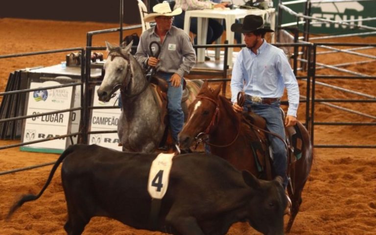 ABQM divulga campeões do 10º Prêmio All Around e Super Horse do Nacional 2022