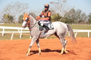 Bolsonaro Corona HM se destaca no principal páreo do Jockey Club de Sorocaba