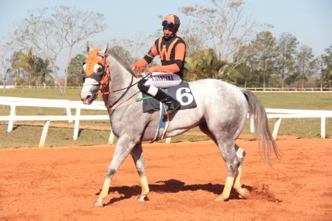Bolsonaro Corona HM se destaca no principal páreo do Jockey Club de Sorocaba