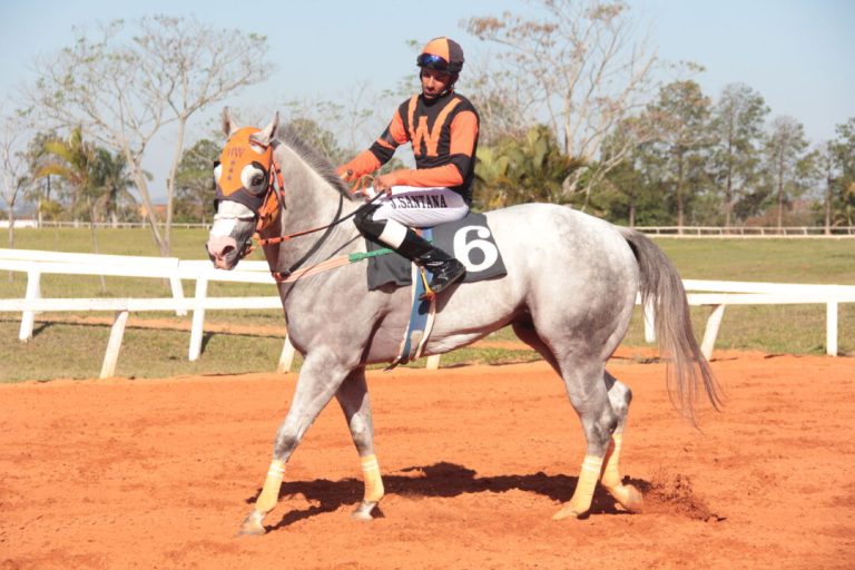 Bolsonaro Corona HM se destaca no principal páreo do Jockey Club de Sorocaba