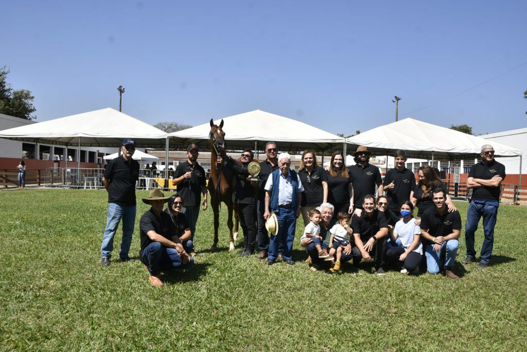 Duas negociações se destacaram no evento: a venda do Campeão Ouro do evento, DYLAN HVP e a comercialização de um animal para o Chile