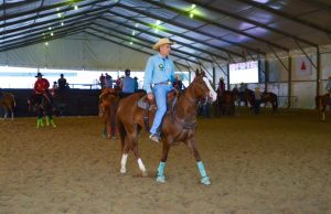 Belo Horizonte (MG) recebe a maior prova de Ranch Sorting do Brasil