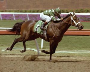 Landaluce- A história do primeiro campeão de Seattle Slew