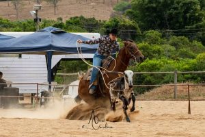 Minas Gerais recebe prova de Laço Individual credenciada pela ANLI