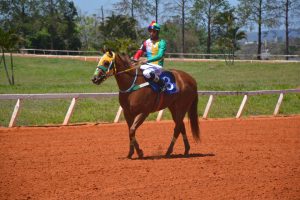 Miss Isao JQM se consagra como Tríplice Coroada na Corrida