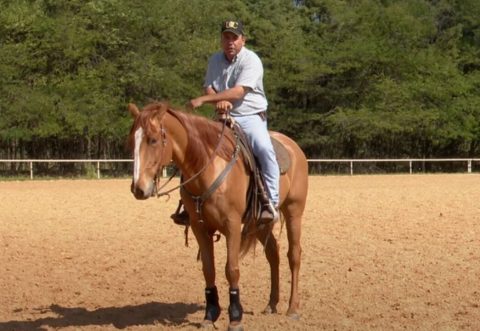 O que é a autossustentação do cavalo?