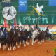 Projeto Criança recebe 150 alunos de escola municipal de Tatuí na Exposição Nacional do Cavalo Mangalarga