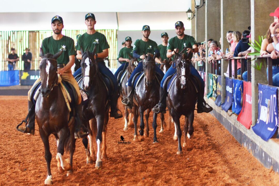 Projeto Criança recebe 150 alunos de escola municipal de Tatuí na Exposição Nacional do Cavalo Mangalarga