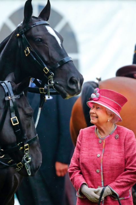 Rainha Elizabeth, monarca mais longeva da história, era amante dos cavalos