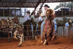 Semana Prudentina do Cavalo de Trabalho distribui mais de R$ 150 mil em prêmios