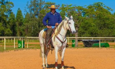 Aluísio Marins desvenda os “Segredos dos cavalos” em curso online e gratuito
