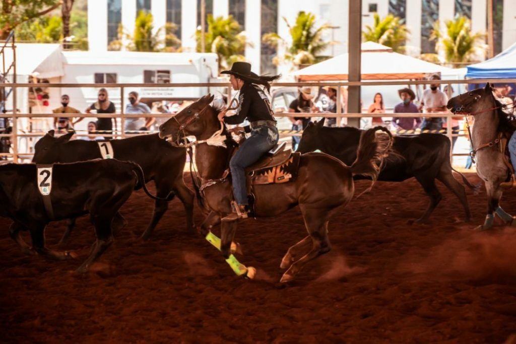 Cavalos de Rodeio ○ Treinamento da Pro Horse 