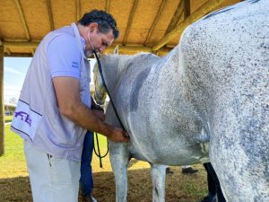 Médico Veterinário, uma profissão que se transforma com o tempo