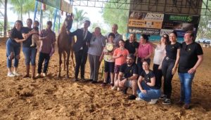 13ª ExpoÁrabe surpreende pela qualidade dos animais apresentados