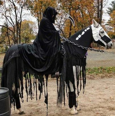Cavalo e Hallowen: uma combinação perfeita!