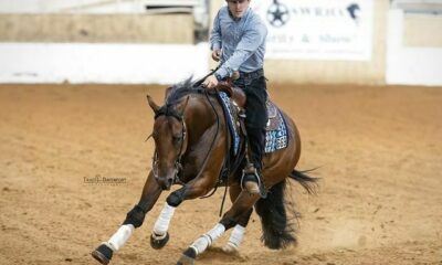 Cavalo de criadora brasileira faz bonito em Oklahoma