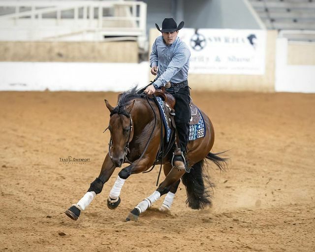 Cavalo de criadora brasileira faz bonito em Oklahoma
