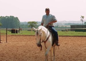 Como ensinar o cavalo no chão?