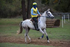 Enduristas brasileiros no top 10 de campeonato francês