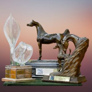 Inscrições para o Brazilian Breeders´ Cup 2022, Internacional e Copa Brasil terminam hoje (24/10)