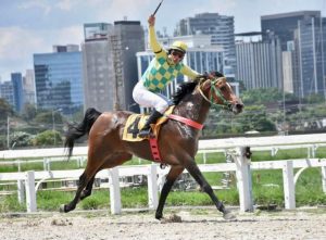 Versado Rach vence prêmio Ricardo Jamil Saliba no Jockey Club de São Paulo