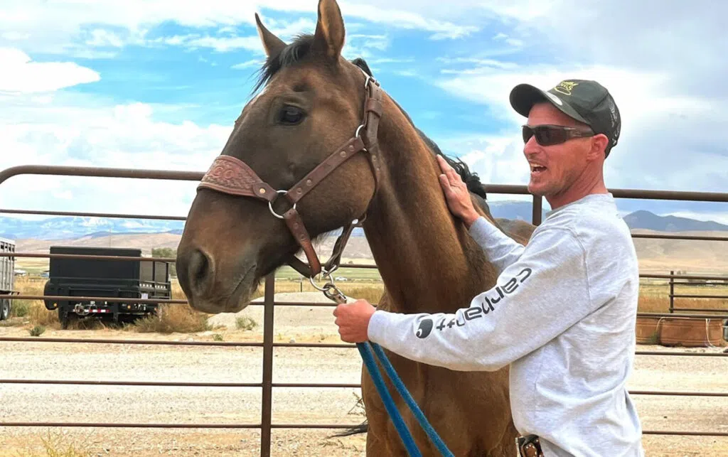 Proprietário reencontra cavalo desaparecido há 8 anos