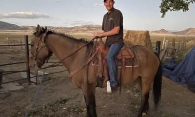 Proprietário reencontra cavalo desaparecido há 8 anos