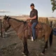 Proprietário reencontra cavalo desaparecido há 8 anos