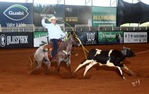 Dieta específica melhora performance dos cavalos em provas