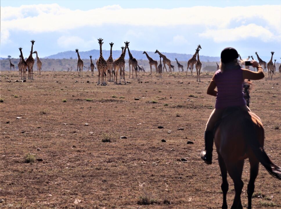 Safari da Grande Migração no Quênia