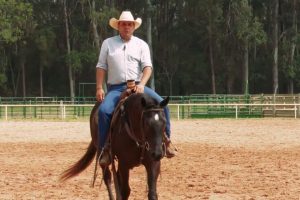 Vivência fora dos treinos impacta na performance do seu cavalo