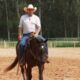 Vivência fora dos treinos impacta na performance do seu cavalo
