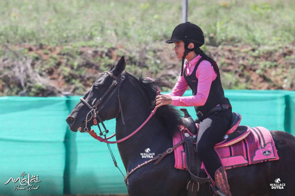 5ª edição da Horse Week reúne apaixonados por cavalos no Centro-Oeste brasileiro