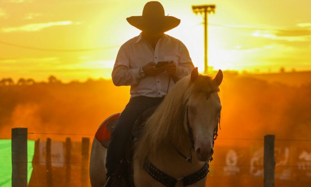 5ª edição da Horse Week reúne apaixonados por cavalos no Centro-Oeste brasileiro