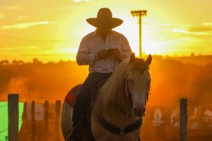 5ª edição da Horse Week reúne apaixonados por cavalos no Centro-Oeste brasileiro