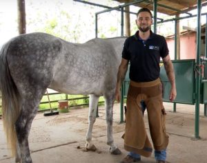 Casquear um cavalo pela primeira vez exige alguns cuidados – parte 1