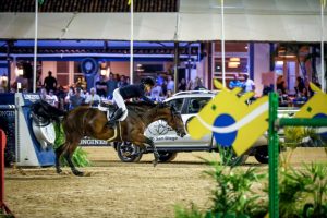 Concurso de Salto da Sociedade Hípica Brasileira reúne 500 conjuntos em pista