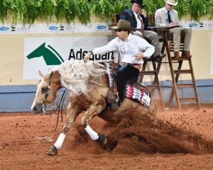 Brasileiros faturam três títulos de Rédeas no AQHA World Show