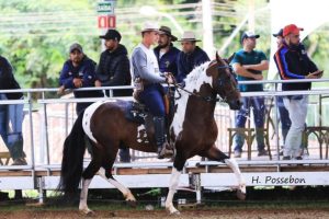 Maior competição de Marcha Picada do Brasil será no interior de São Paulo