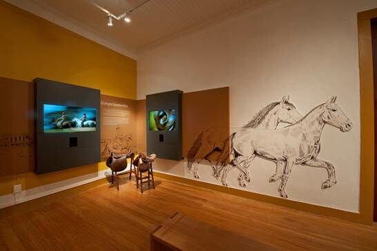 Museu Nacional do Cavalo Mangalarga Marchador comemora 10 anos