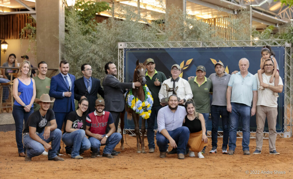 Brazilian Breeders Cup 2022 reúne o melhor do Cavalo Árabe em SP