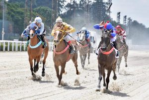 Prêmio Tábita Rach agita a pista de areia do Jockey Club de São Paulo