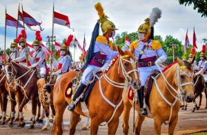 Conheça a tradição do cavalo Baio, herança do Exército desde 1889