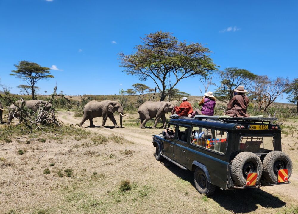 Safari da Grande Migração no Quênia - 3ª parte 