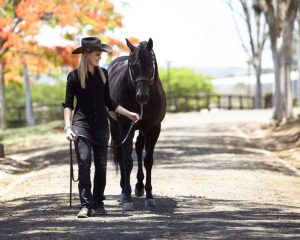 Snow Lider Stones completa 9 anos e Haras Raphaela prepara comemoração especial