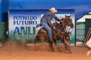 Fábio Parizi comemora resultados do Potro do Futuro e Finais da Associação Nacional do Laço Individual (ANLI)