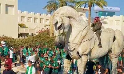 Cavalo se destaca na Copa do Mundo do Catar