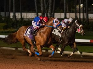 Empressum é Campeão dos Campeões AQHA 2022