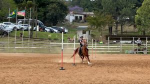 Copa Serra Gaúcha fecha ciclo de provas funcionais do Cavalo Árabe no Sul